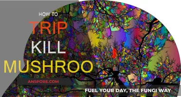 Trip Killing Mushrooms: A Step-by-Step Guide