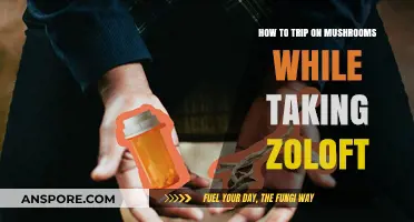 Mixing Mushrooms and Zoloft: Risks, Effects, and Safety Tips