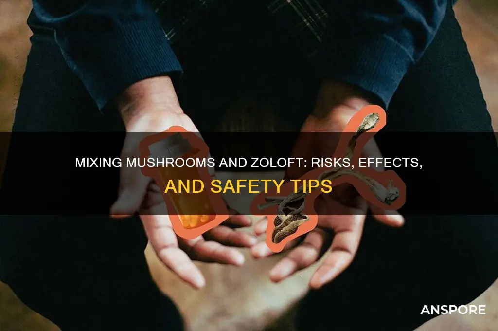 how to trip on mushrooms while taking zoloft