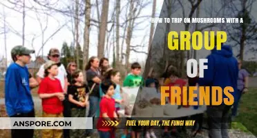 Group Mushroom Trip Guide: Safe, Fun, and Memorable Experiences Together