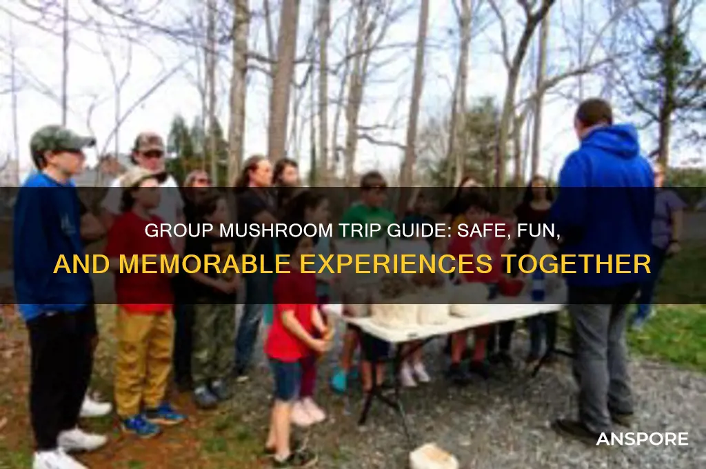 how to trip on mushrooms with a group of friends