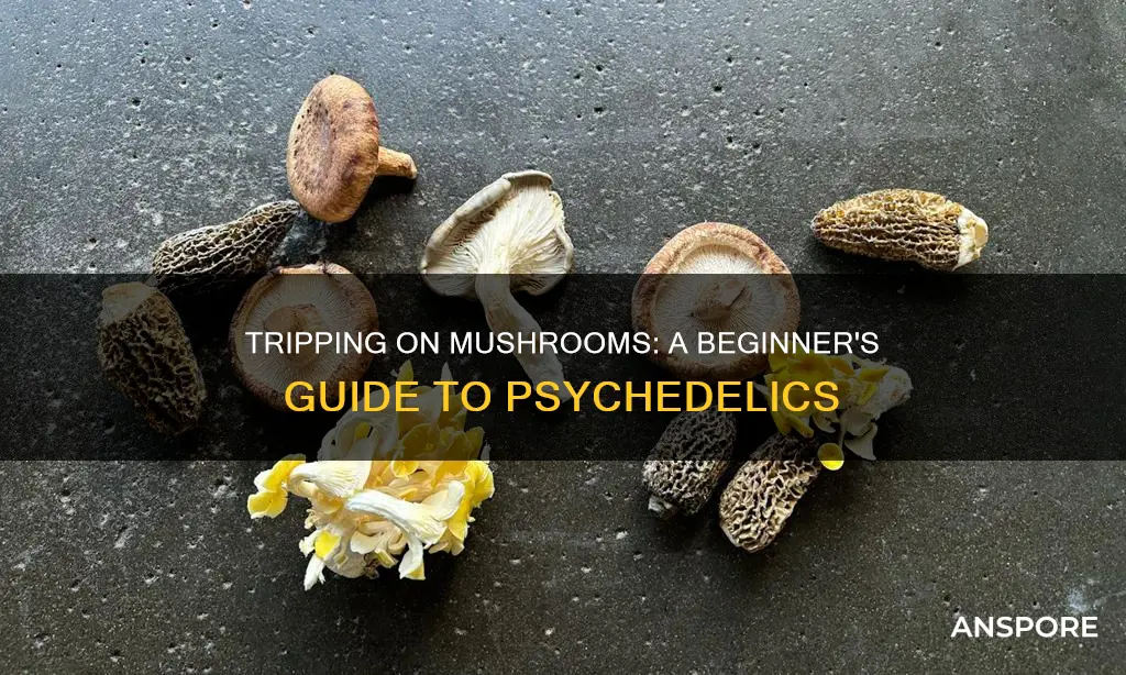 how to trip on mushrooms