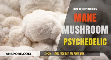 Exploring Lion's Mane Mushroom: Unlocking Psychedelic Potential Safely