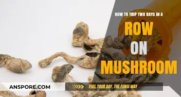 Back-to-Back Mushroom Trips: A Guide to Consecutive Psychedelic Journeys