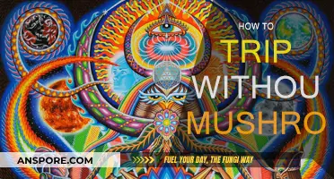 Exploring Mind Expansion: Tripping Without Mushrooms