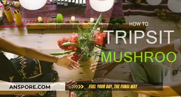 Tripsitting Mushrooms: A Guide to Safe and Fun Journeys