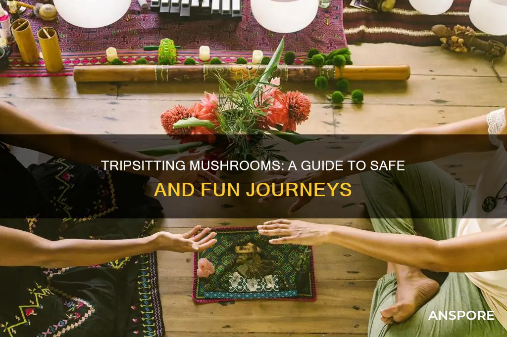 how to tripsit mushrooms