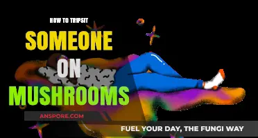 Guiding a Safe and Supportive Mushroom Trip: Essential Tripsitting Tips