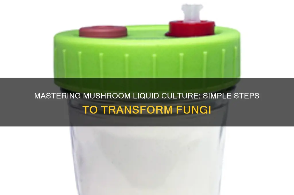 how to turn a mushroom into a liquid culture