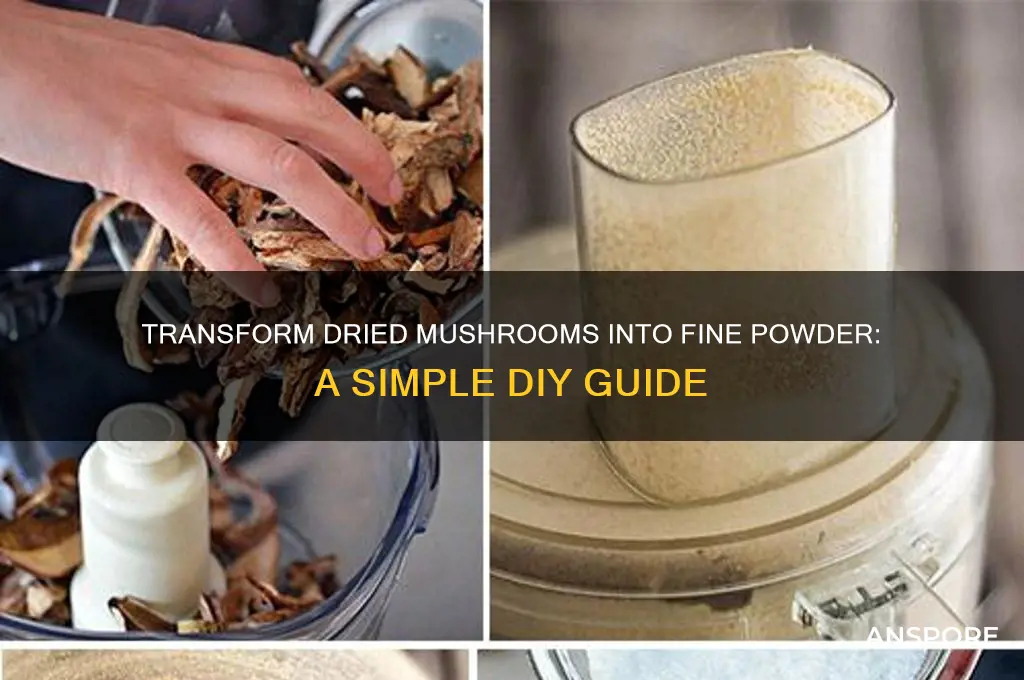 how to turn dried mushrooms into powder