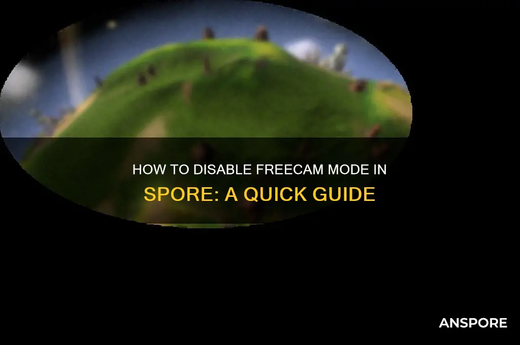 how to turn freecam off in spore