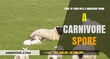 Transitioning from Carnivore to Omnivore: A Balanced Diet Journey