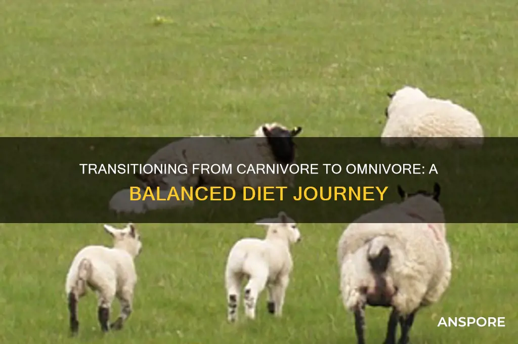 how to turn into a omnivore from a carnivore spore
