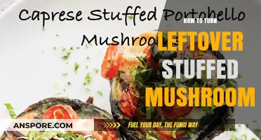 Creative Ways to Transform Leftover Stuffed Mushrooms into Delicious Meals