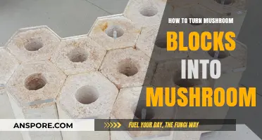 Mastering Mushroom Cultivation: Transforming Blocks into Bountiful Harvests