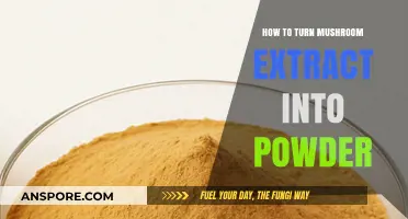 Transforming Mushroom Extract into Powder: A Simple DIY Guide