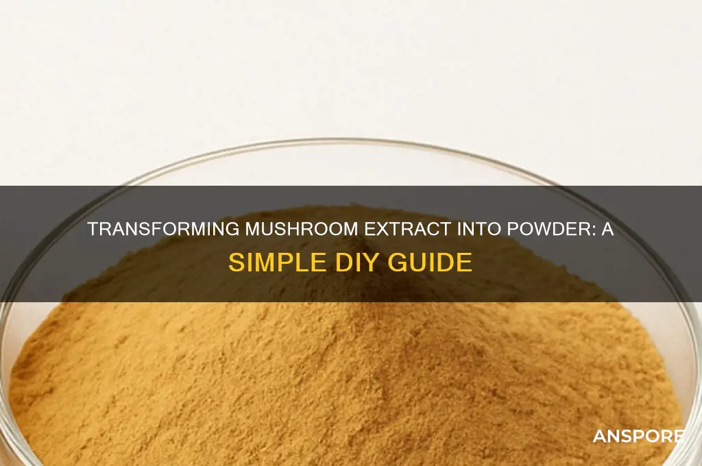 how to turn mushroom extract into powder