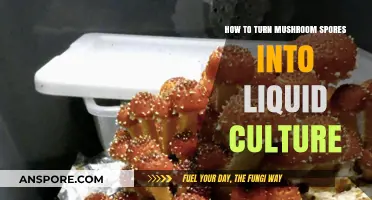 Mastering Mushroom Cultivation: Transforming Spores into Liquid Culture