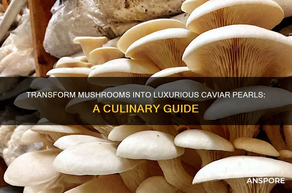 how to turn mushrooms into caviar pearls