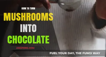 Transform Mushrooms into Decadent Chocolate: A Step-by-Step Guide