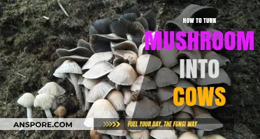 Transforming Mushrooms into Cows: A Creative Farming Revolution
