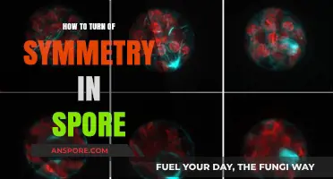 Mastering Spore: Simple Steps to Disable Symmetry in Your Creations