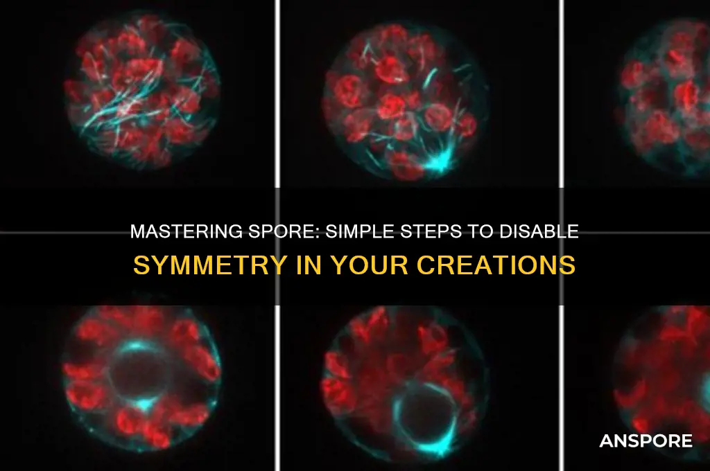 how to turn of symmetry in spore