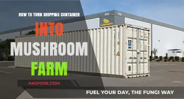 Transform Shipping Containers into Profitable Mushroom Farms: A Step-by-Step Guide