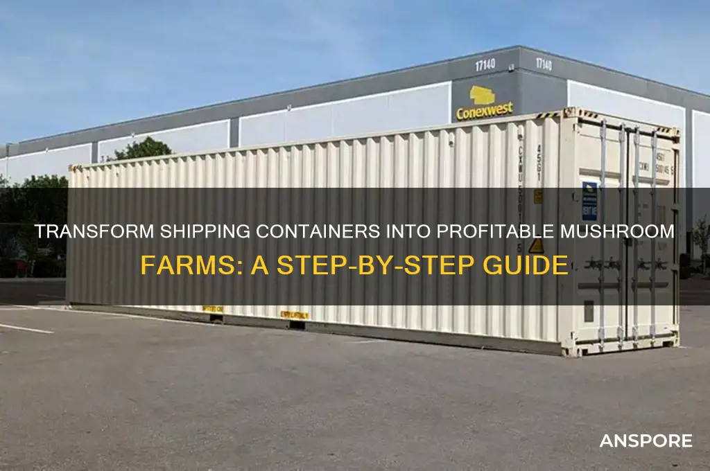 how to turn shipping container into mushroom farm