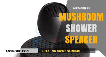Turn Up the Volume: A Guide to Amplifying Your Mushroom Shower Speaker