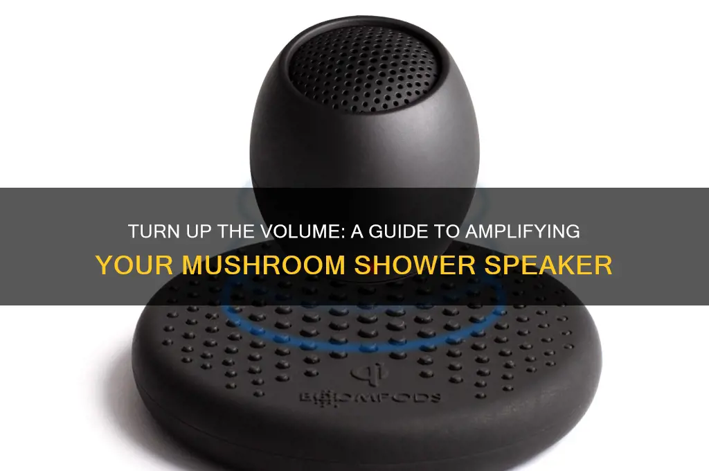 how to turn up mushroom shower speaker