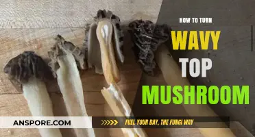 Mastering Wavy Top Mushrooms: Simple Techniques for Perfect Results