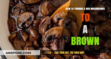 Transforming Red Mushrooms to Brown: Simple Techniques for Color Change