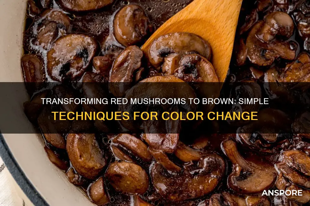 how to turning a red mushrooms to a brown