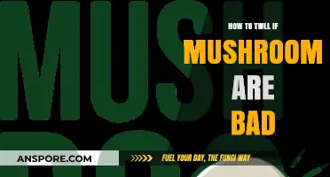 Spotting Spoiled Mushrooms: Key Signs They’ve Gone Bad