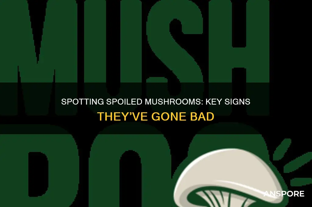 how to twll if mushrooms are bad