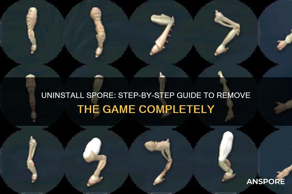 how to uninstall spore