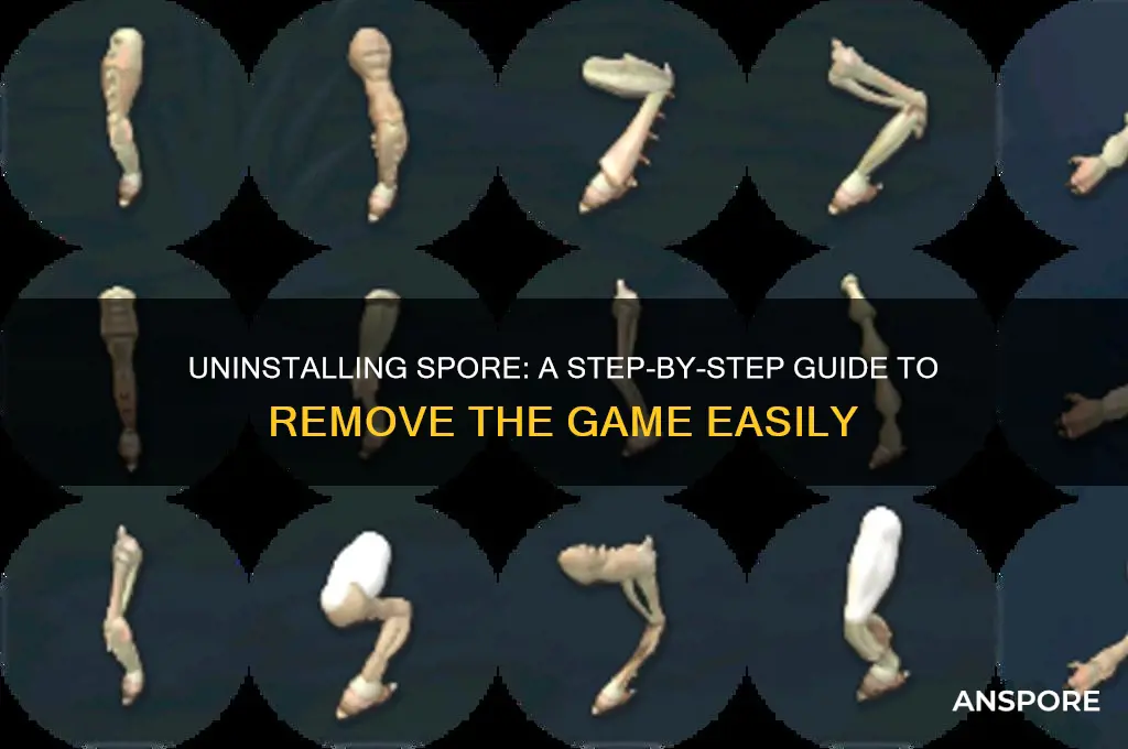 how to unistall spore