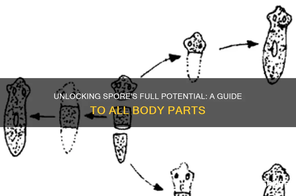 how to unlock all body parts in spore