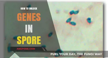 Unlocking Genetic Potential: A Comprehensive Guide to Spore Gene Activation