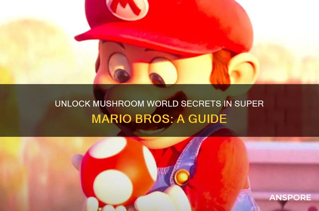how to unlock mushroom world a insuper mario bros