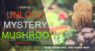 Unlocking Mystery Mushroom: A Step-by-Step Guide
