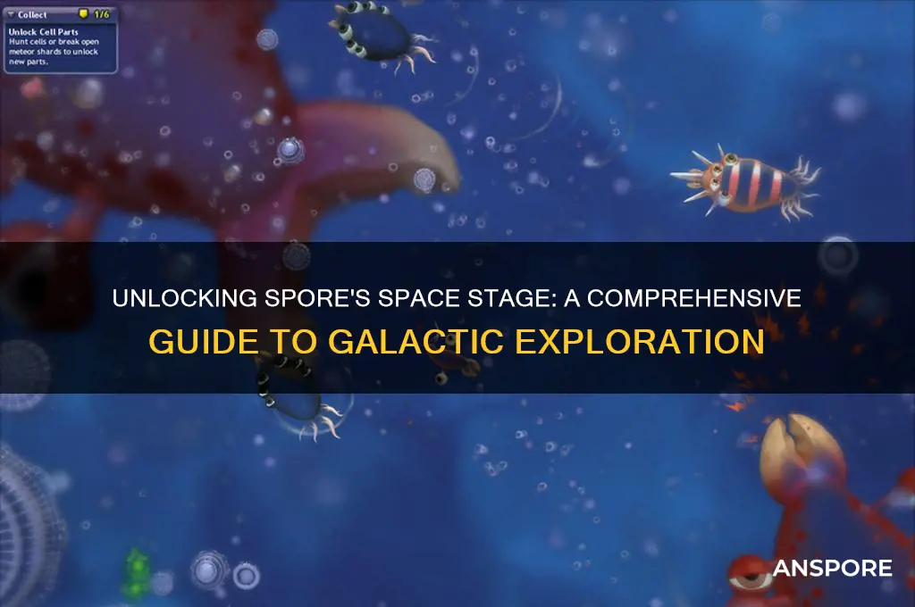 how to unlock space stage spore