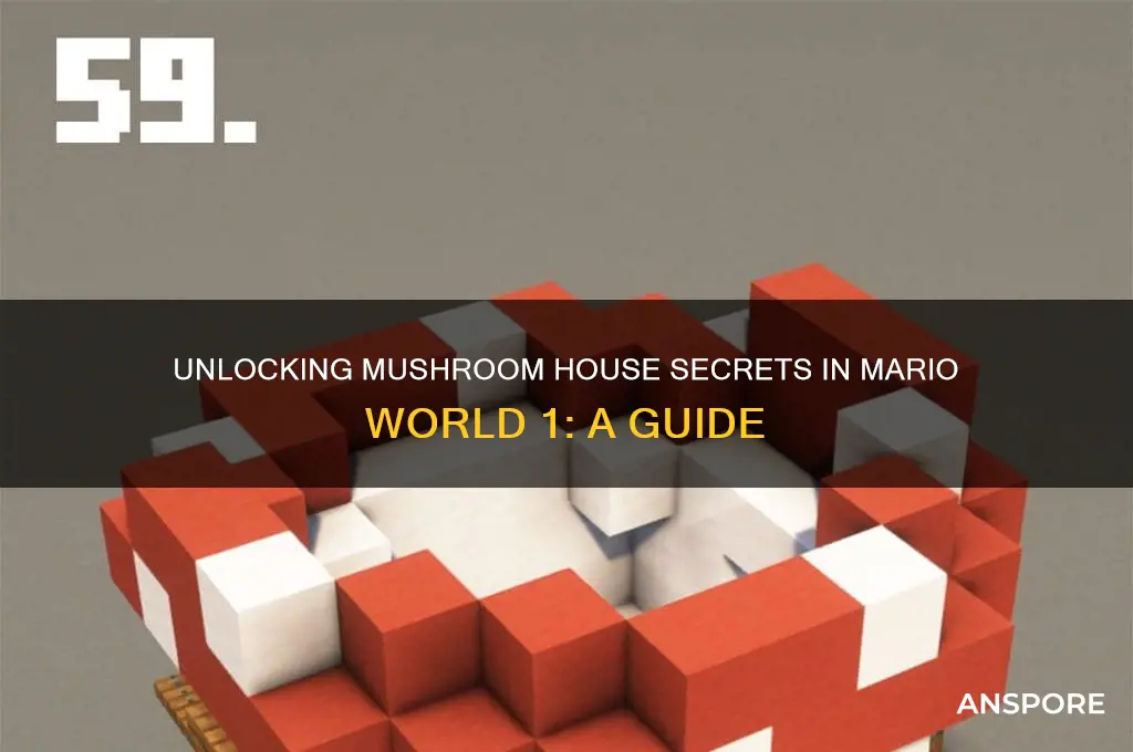 how to unlock the mushroom house in mario world 1