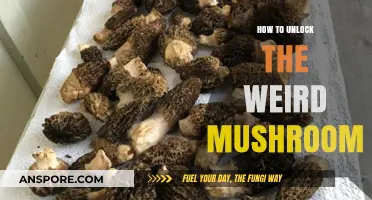 Unlocking the Weird Mushroom: A Step-by-Step Guide to Success