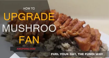 Mushroom Fan Upgrade: Simple Steps to Enhance Your Experience