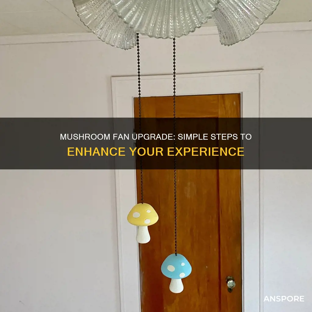 how to upgrade mushroom fan