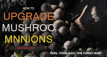 Upgrading Mushroom Minions: A Guide to Leveling Up Your Minions