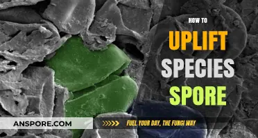Revitalizing Species Spores: Proven Techniques for Successful Uplift and Growth