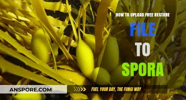 Upload Free Restore File to Spora: A Step-by-Step Guide